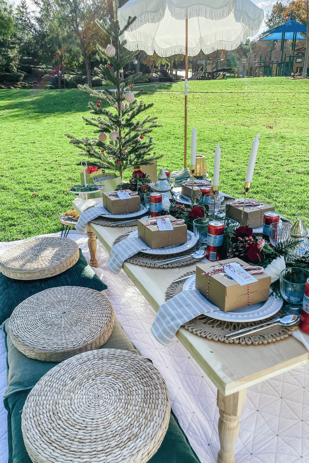 13 Festive Christmas Picnic Ideas to Celebrate The Season Outdoors My — free download