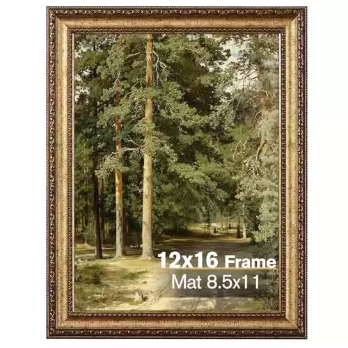 Splinterix 12x16 Gold Picture Frame