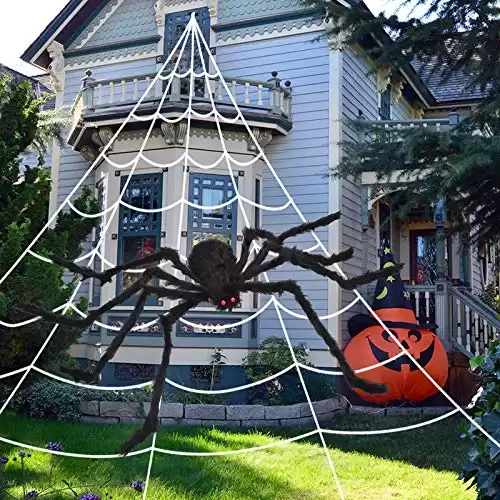 Halloween Spider Web