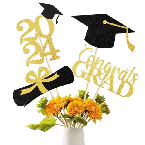 Graduation Decoration Class of 2024, 16 PCS