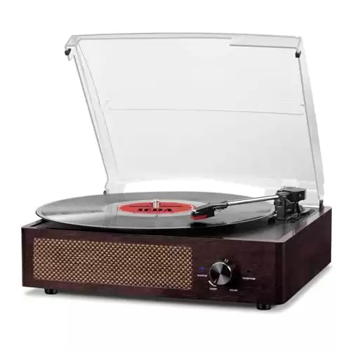 Vinyl Record Player Turntable